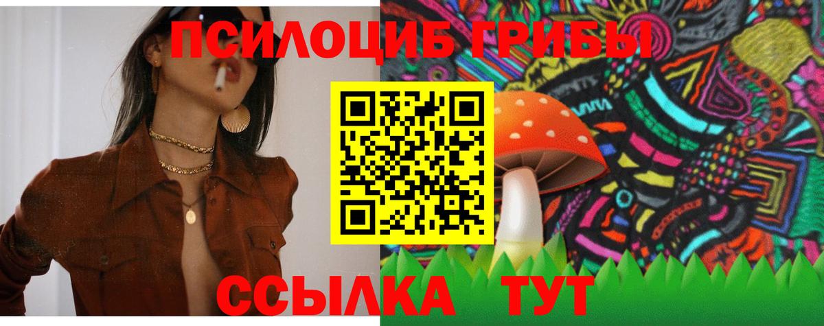 Псилоцибиновые грибы MAGIC MUSHROOMS  Вход с VPN  Галлюциногенные грибы ЛСД  Дивногорск 